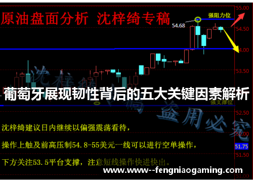 葡萄牙展现韧性背后的五大关键因素解析