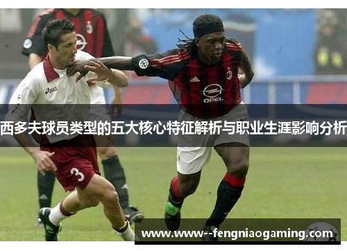 西多夫球员类型的五大核心特征解析与职业生涯影响分析
