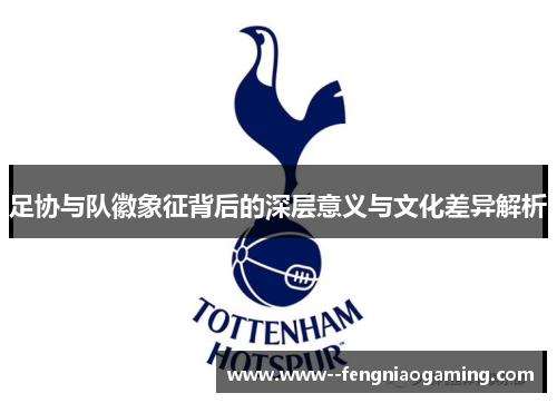 足协与队徽象征背后的深层意义与文化差异解析