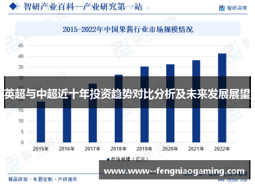 英超与中超近十年投资趋势对比分析及未来发展展望