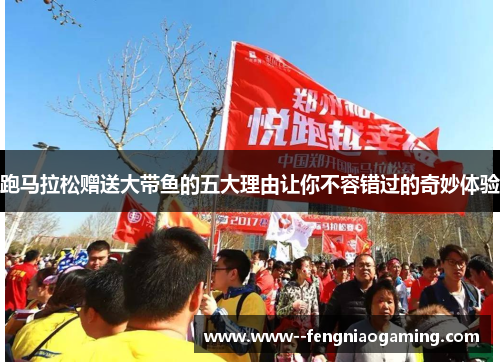 跑马拉松赠送大带鱼的五大理由让你不容错过的奇妙体验